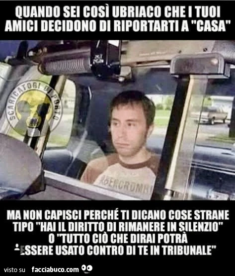 Vaccata