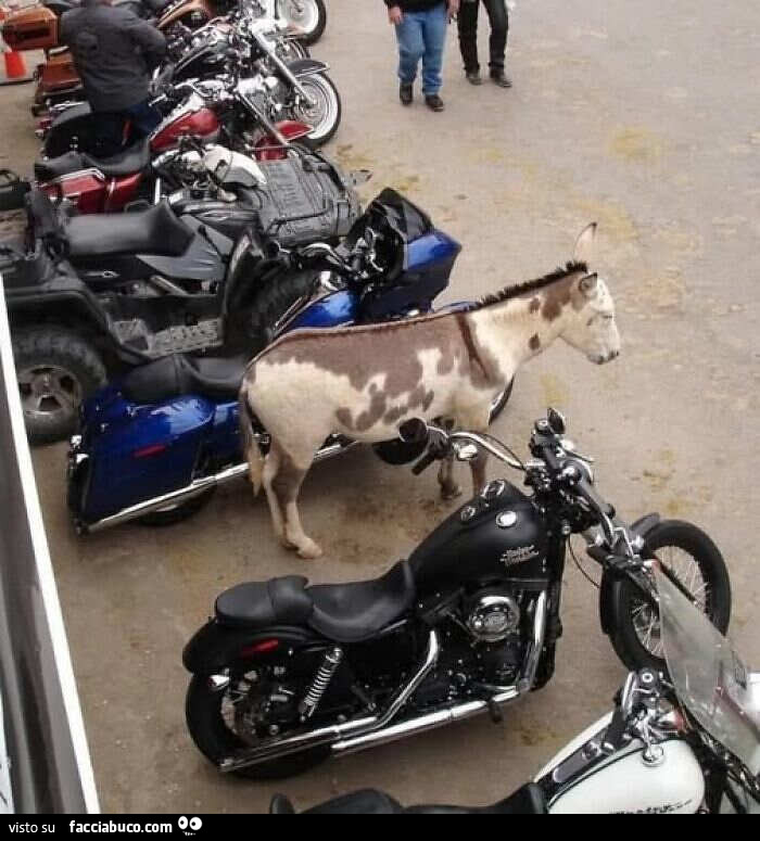 Consigli x risparmiare sul caro carburanti x mezzi trasporto