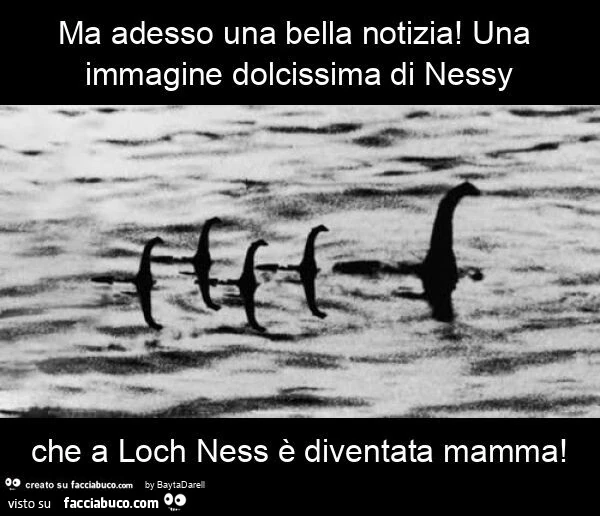 Ma adesso una bella notizia! Una immagine dolcissima di nessy che a loch ness รจ diventata mamma