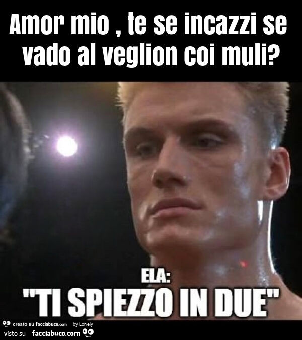 Amor mio, te se incazzi se vado al veglion coi muli?