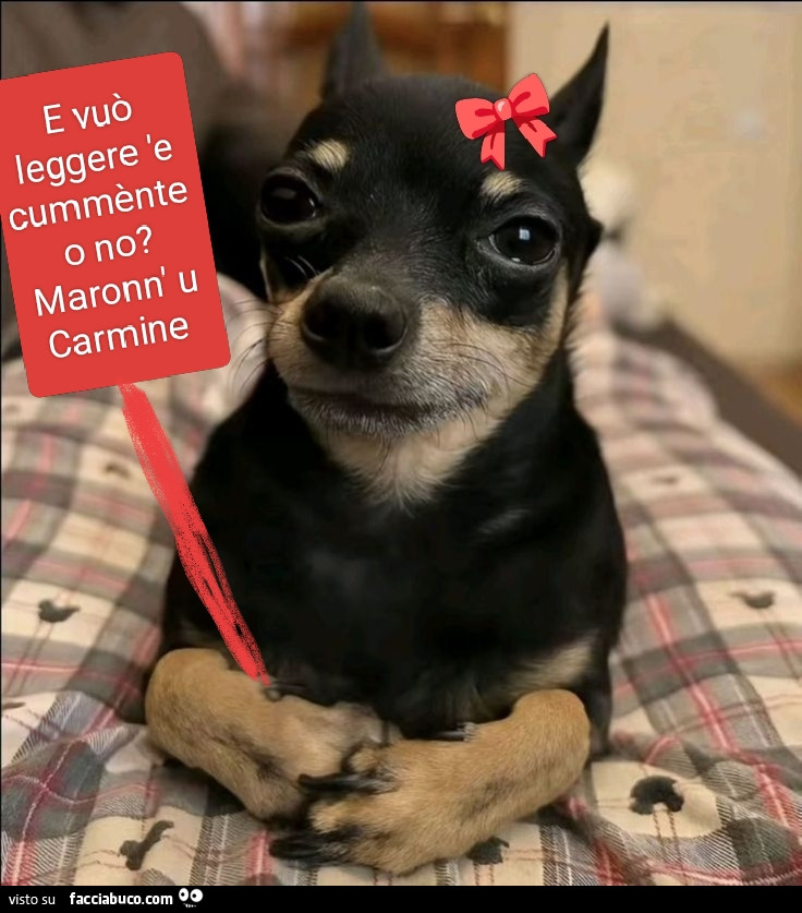 Vaccata