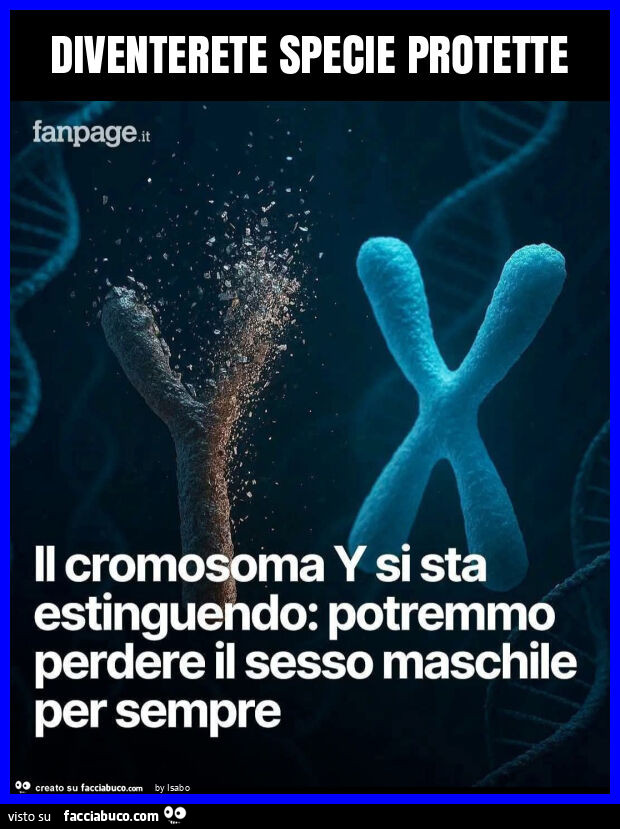 Il cromosoma y si sta estinguendo potremmo perdere il sesso maschile per sempreDiventerete specie protette