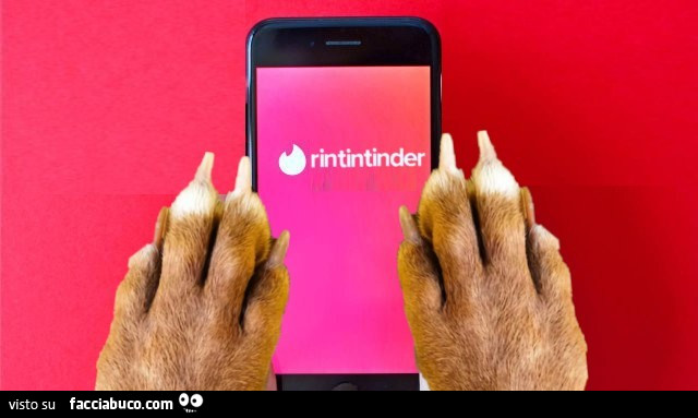 Rintintinder