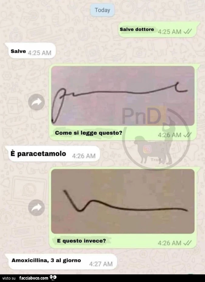 Vaccata