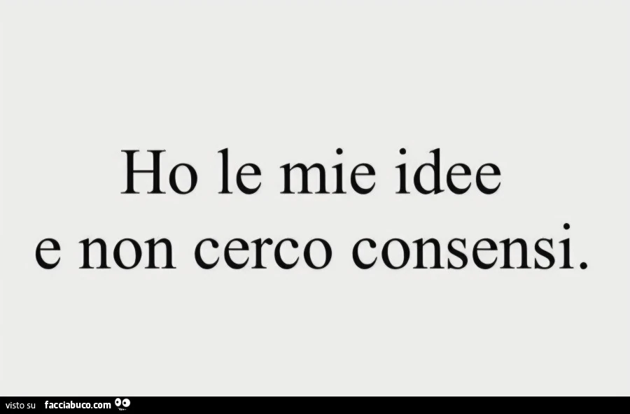 Ho le mie idee e non cerco consensi