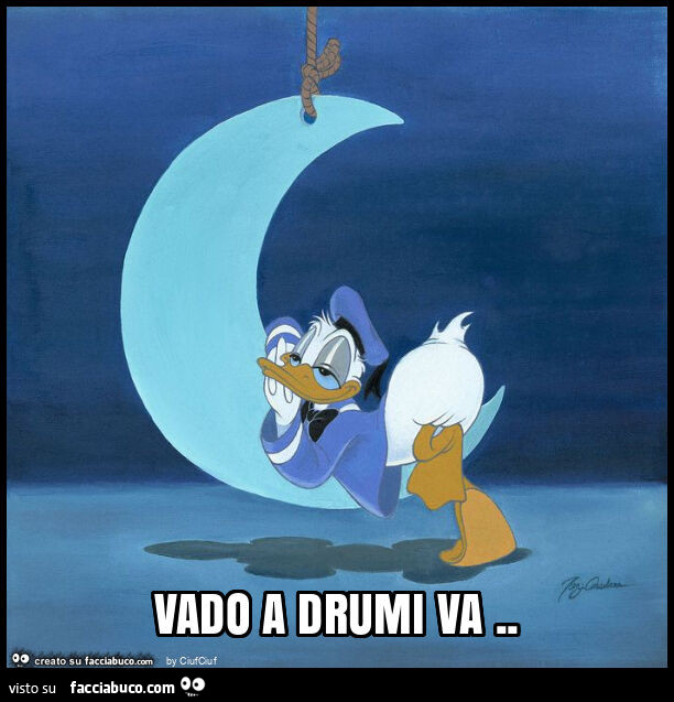 Vado a drumi va