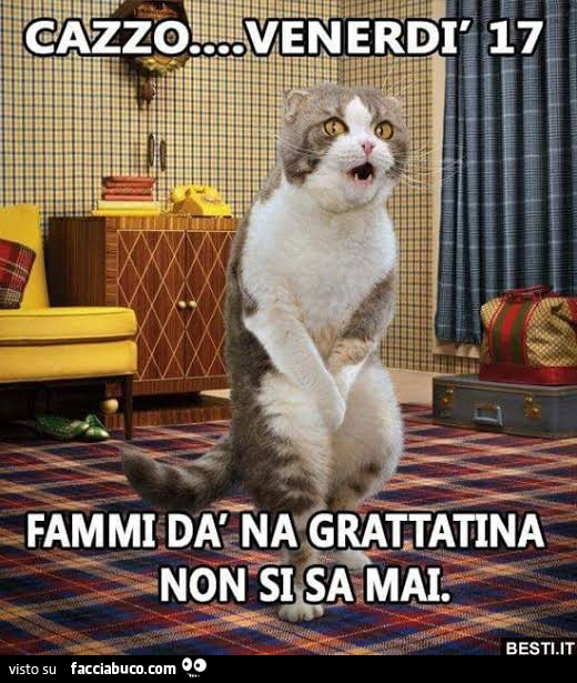 Vaccata