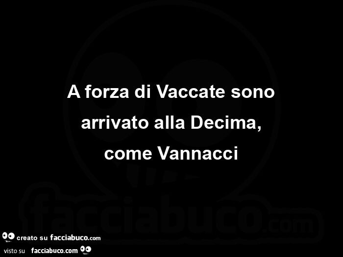 A forza di vaccate sono arrivato alla decima, come vannacci