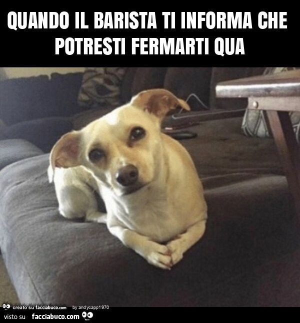 Quando il barista ti informa che potresti fermarti qua