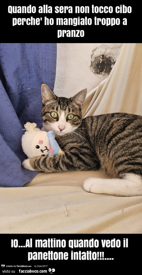 Quando alla sera non tocco cibo perchè ho mangiato troppo a pranzo io&hellip; al mattino quando vedo il panettone intatto