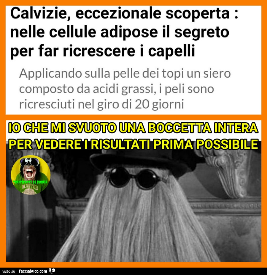 Calvizie eccezionale scoperta nelle cellule adipose il segreto per far ricrescere i capelli