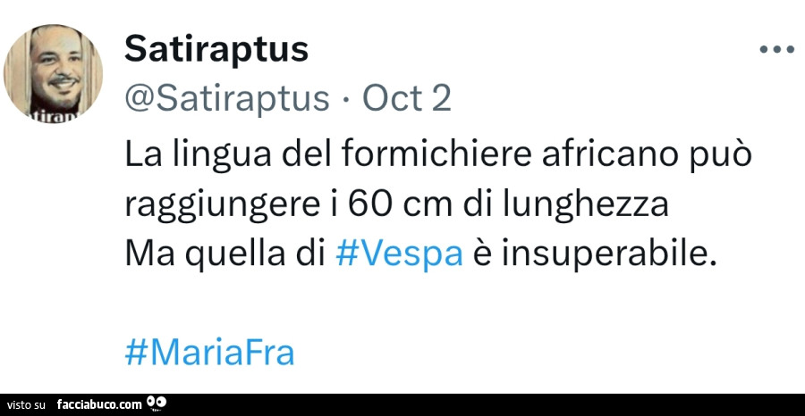 La lingua del formichiere africano può raggiungere i 60 cm di lunghezza ma quella di Vespa è insuperabile