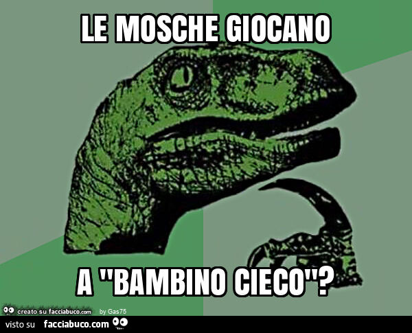 Le mosche giocano a "bambino cieco"?