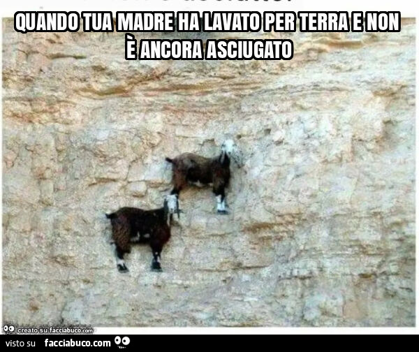 Quando tua madre ha lavato per terra e non è ancora asciugato