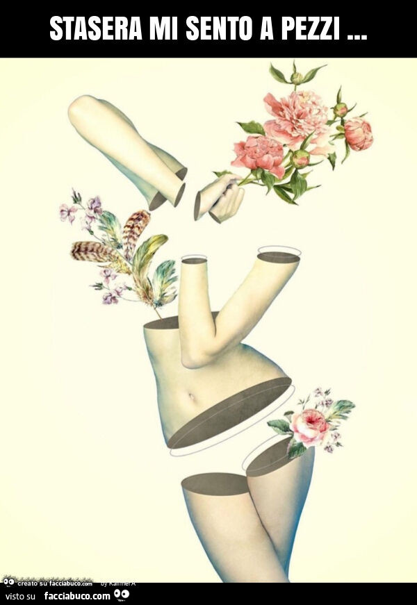 Stasera mi sento a pezzi