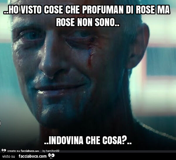 Ho visto cose che profuman di rose ma rose non sono… indovina che cosa?
