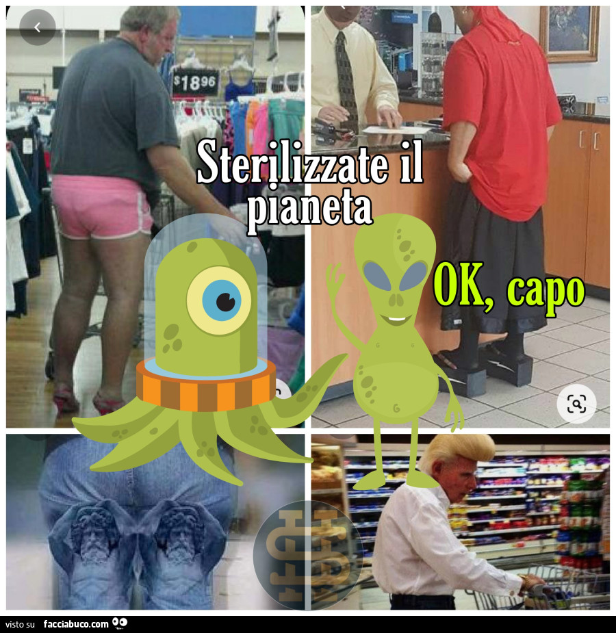 Vaccata