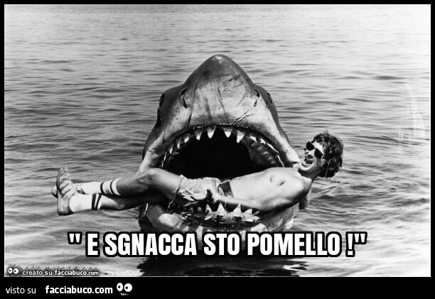 " e sgnacca sto pomello! "