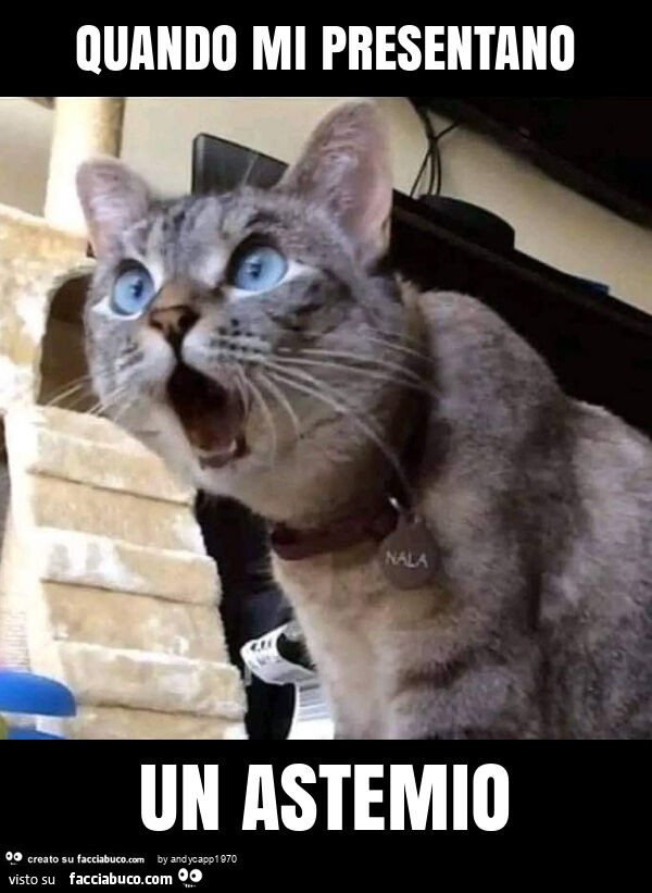 Quando mi presentano un astemio