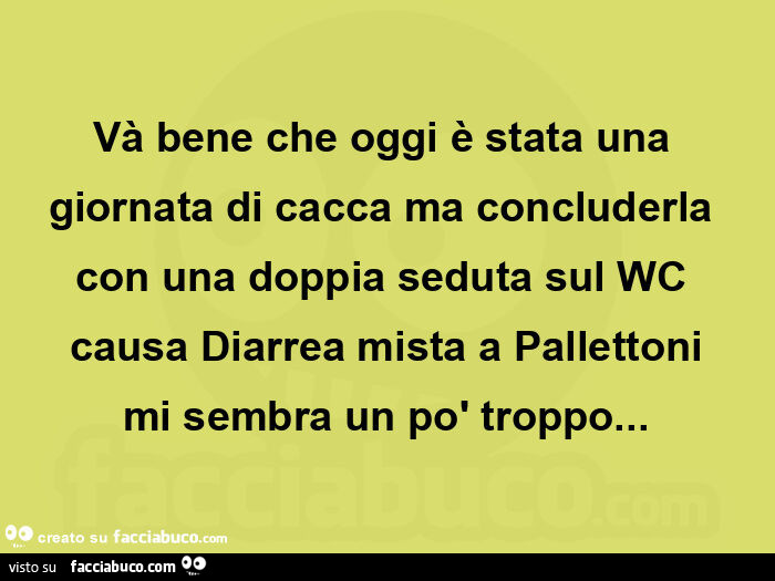 Và bene che oggi è stata una giornata di cacca ma concluderla con una doppia seduta sul wc causa diarrea mista a pallettoni mi sembra un po' troppo