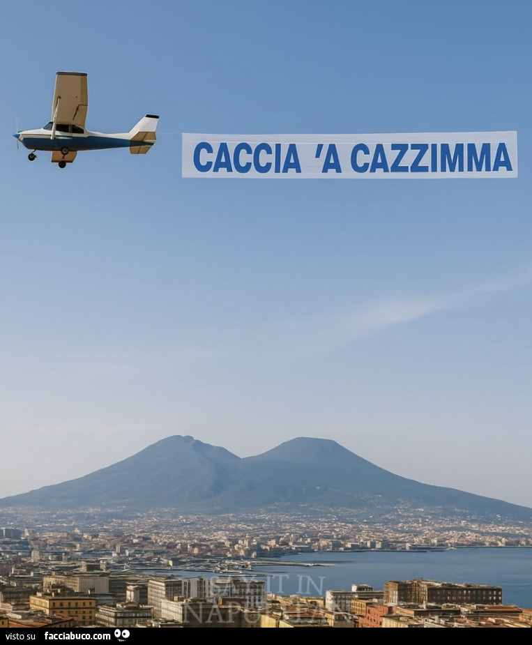 Vaccata