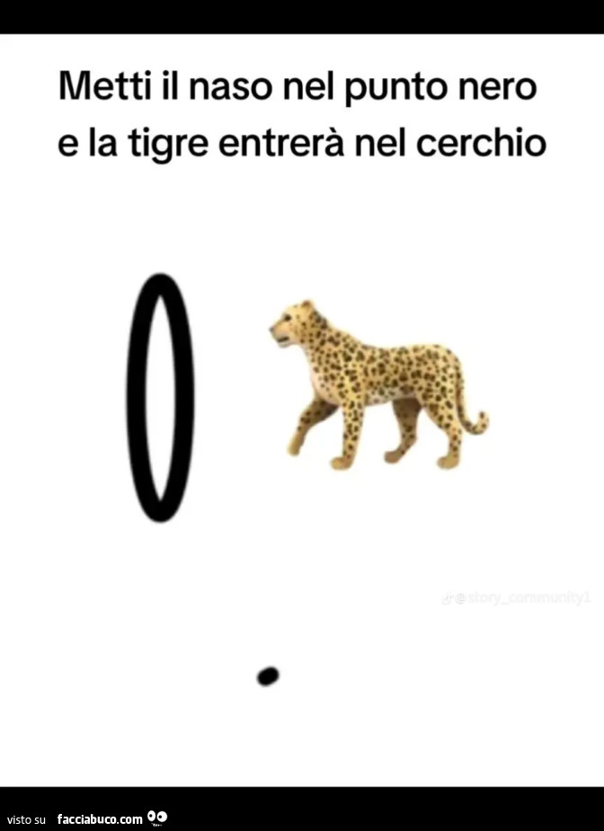 Metti il naso nel punto nero e la tigre entrerà nel cerchio