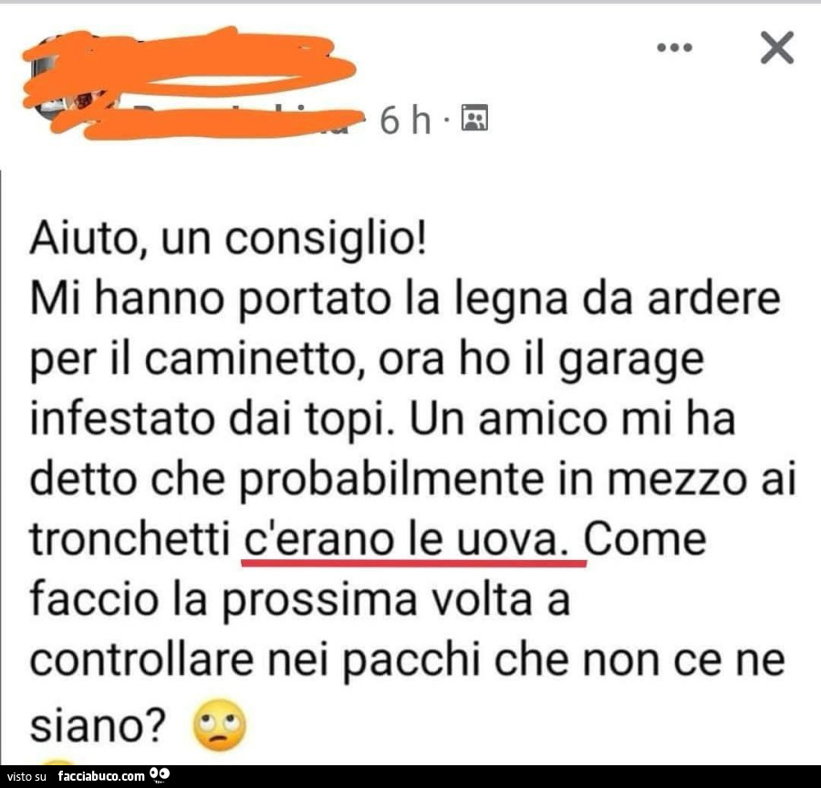 Aiuto, un consiglio! Mi hanno portato la legna da ardere per il caminetto, ora ho il garage infestato dai topi. Un amico mi ha detto che probabilmente in mezzo ai tronchetti c'erano le uova. Come faccio la prossima volta a controllare nei pacchi che 