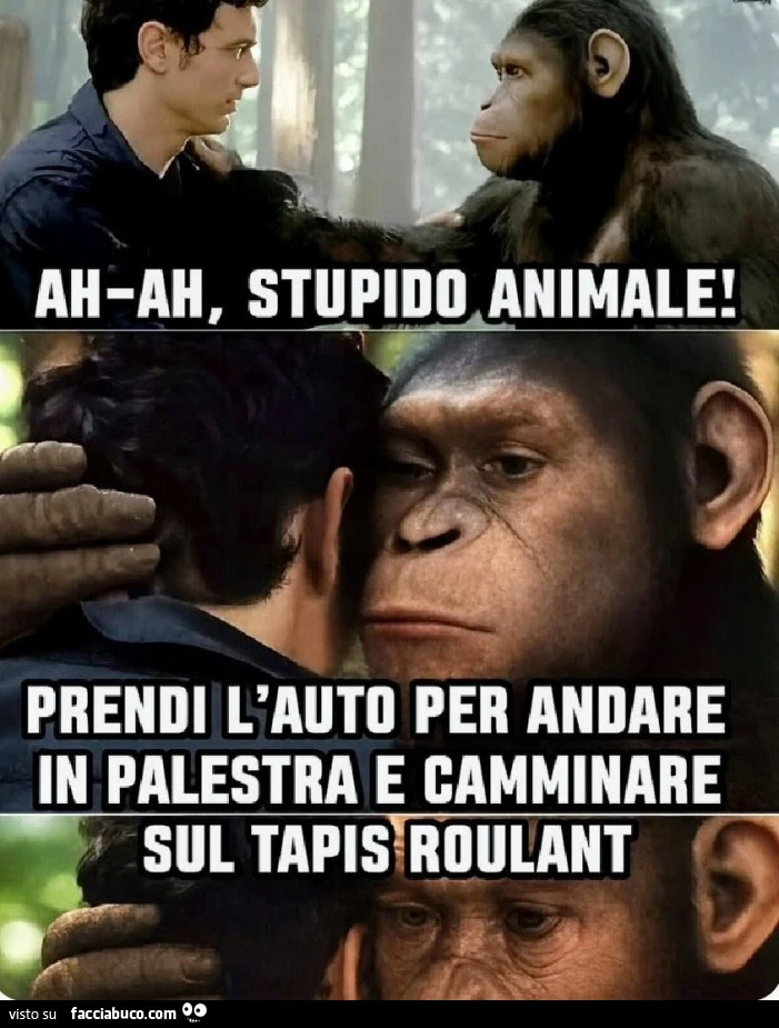 Animali
