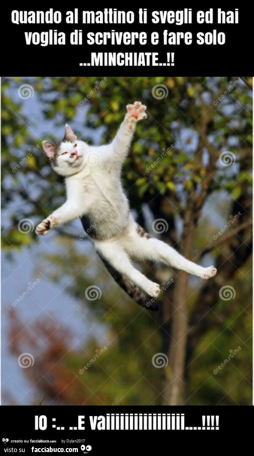 Quando al mattino ti svegli ed hai voglia di scrivere e fare solo&hellip; minchiate. ! Io: &hellip; e vaiiiiiiiiiiiiiiiii
