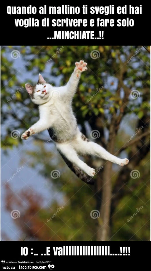 Quando al mattino ti svegli ed hai voglia di scrivere e fare solo… minchiate. ! Io: … e vaiiiiiiiiiiiiiiiii