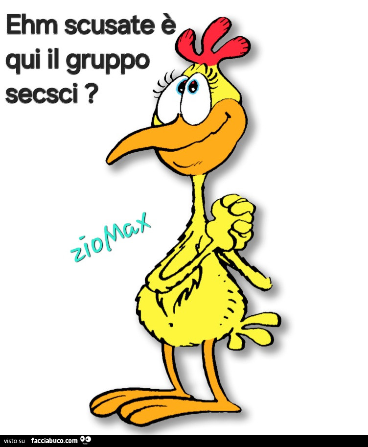 Ehm scusate è qui il gruppo secsci?