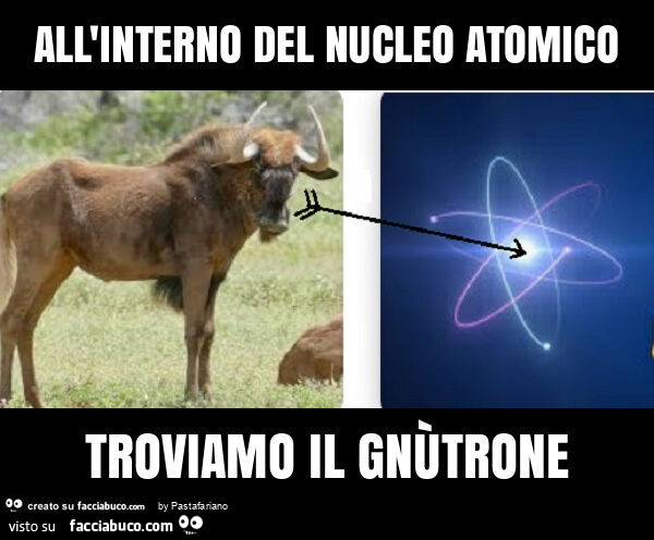 All'interno del nucleo atomico troviamo il gnùtrone
