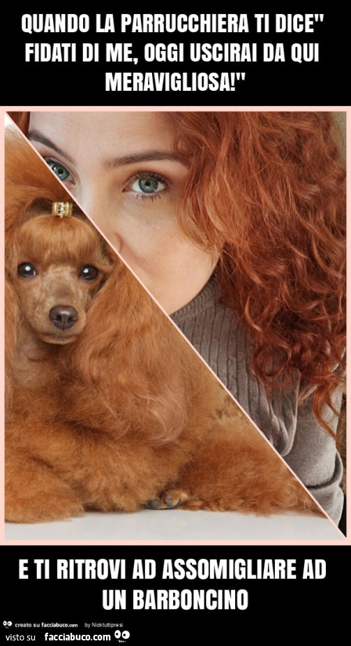 Quando la parrucchiera ti dice" fidati di me, oggi uscirai da qui meravigliosa! " E ti ritrovi ad assomigliare ad un barboncino