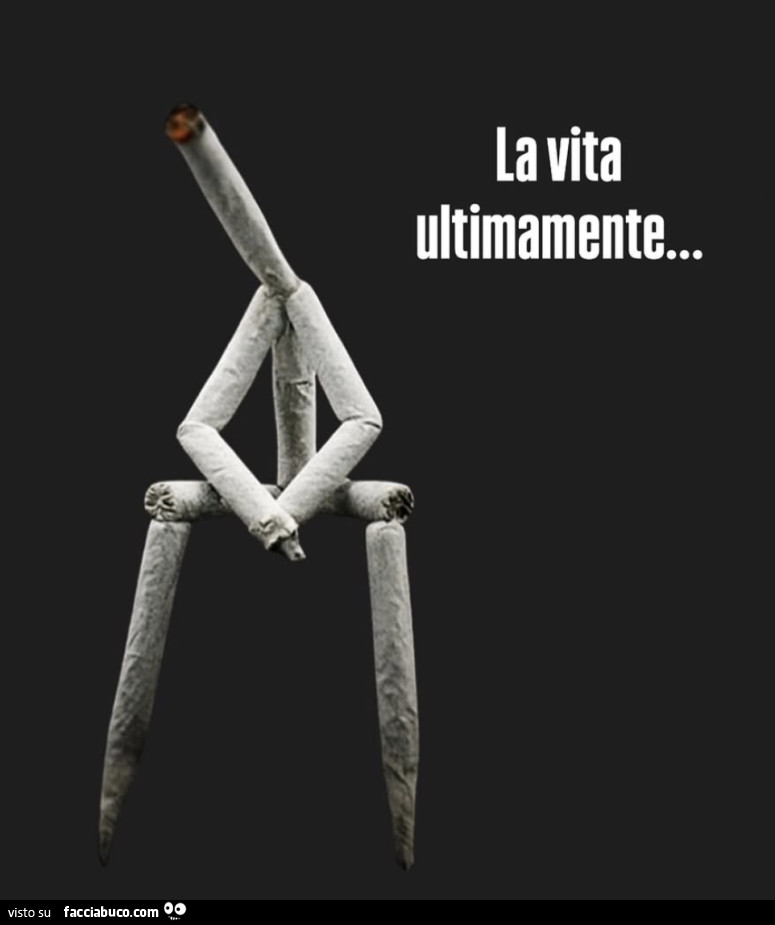 La vita ultimamente…