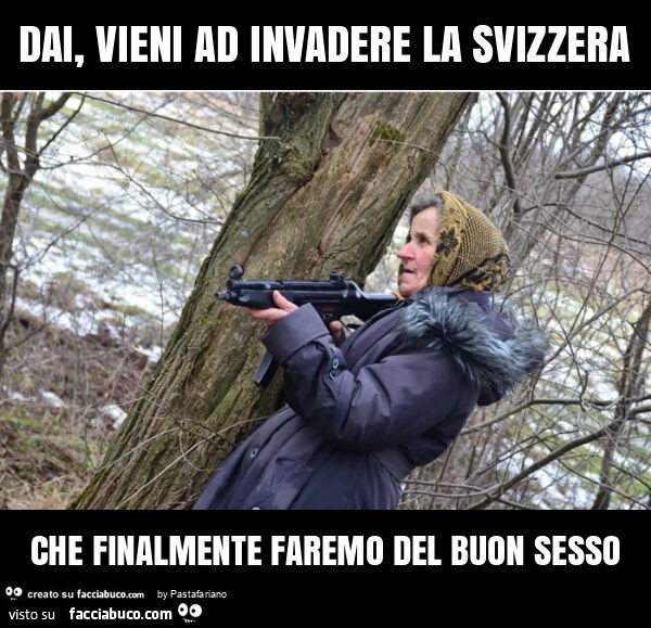 Dai, vieni ad invadere la svizzera che finalmente faremo del buon sesso