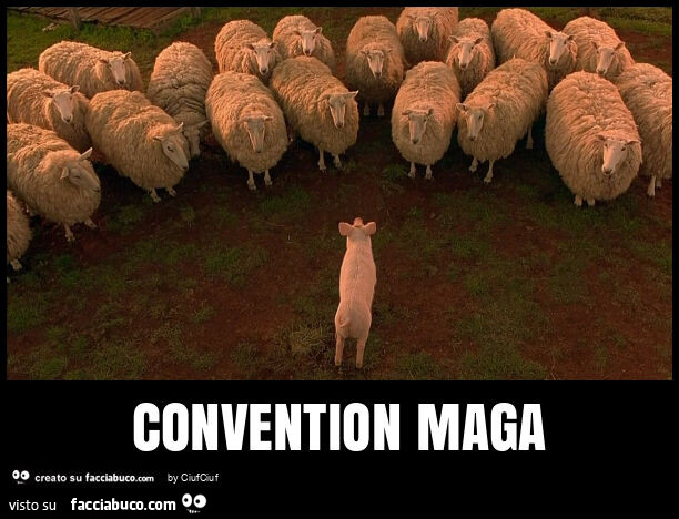 Convention maga