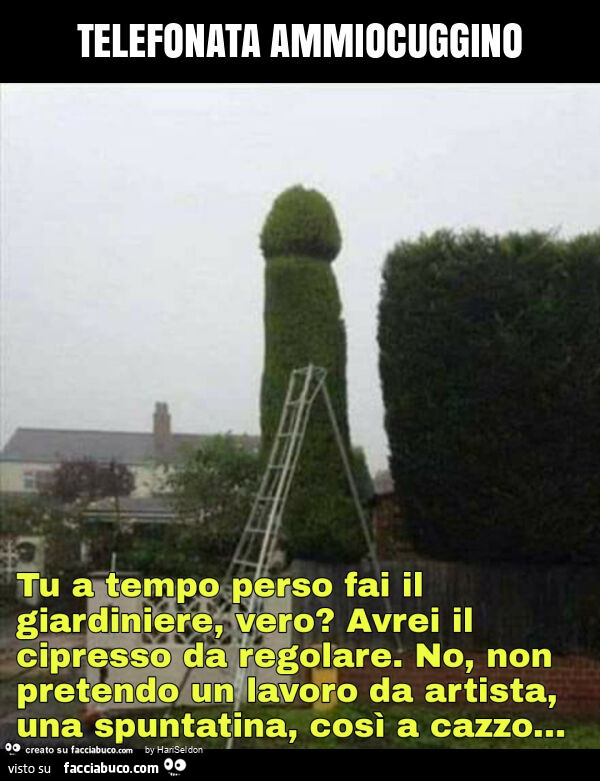 Telefonata ammiocuggino