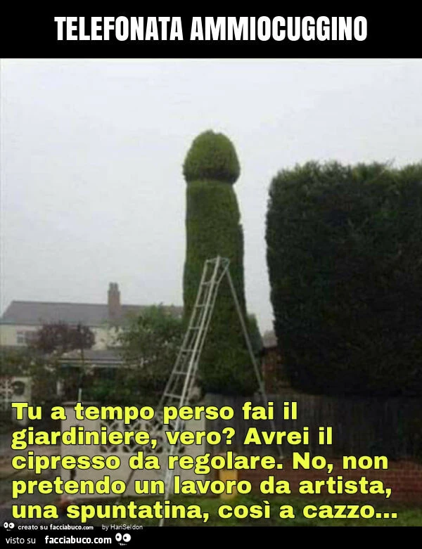 Telefonata ammiocuggino