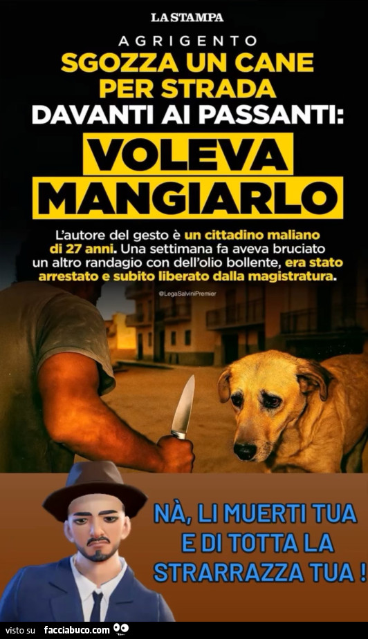 Vaccata