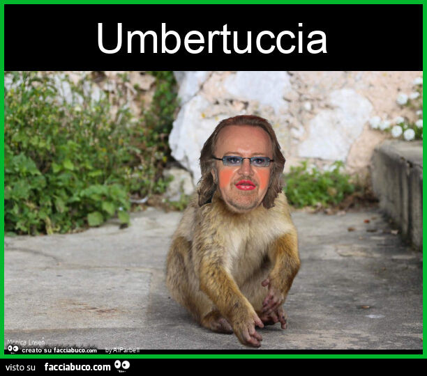 Umbertuccia