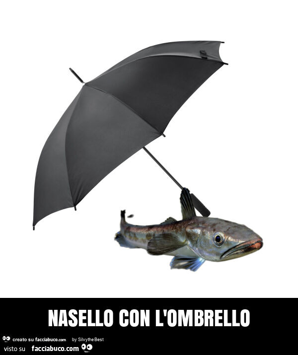Nasello con l'ombrello