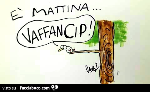 Cavez. È Mattina… Vaffancip