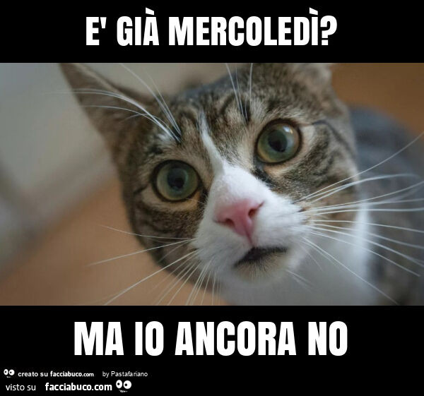 È già mercoledì? Ma io ancora no