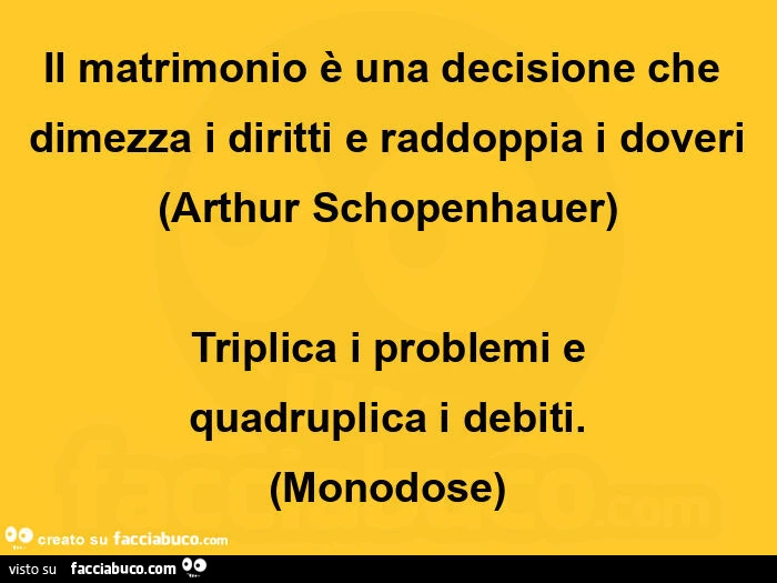 Il matrimonio è una decisione che dimezza i diritti e raddoppia i doveri arthur schopenhauer triplica i problemi e quadruplica i debiti. Monodose