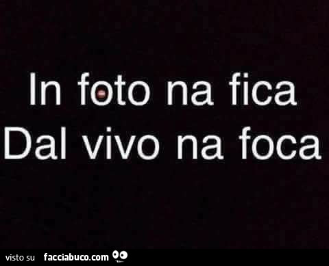 In foto na fica. Dal vivo na foca