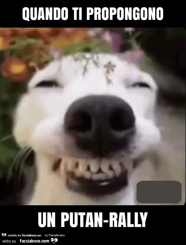 Quando ti propongono un putan-rally