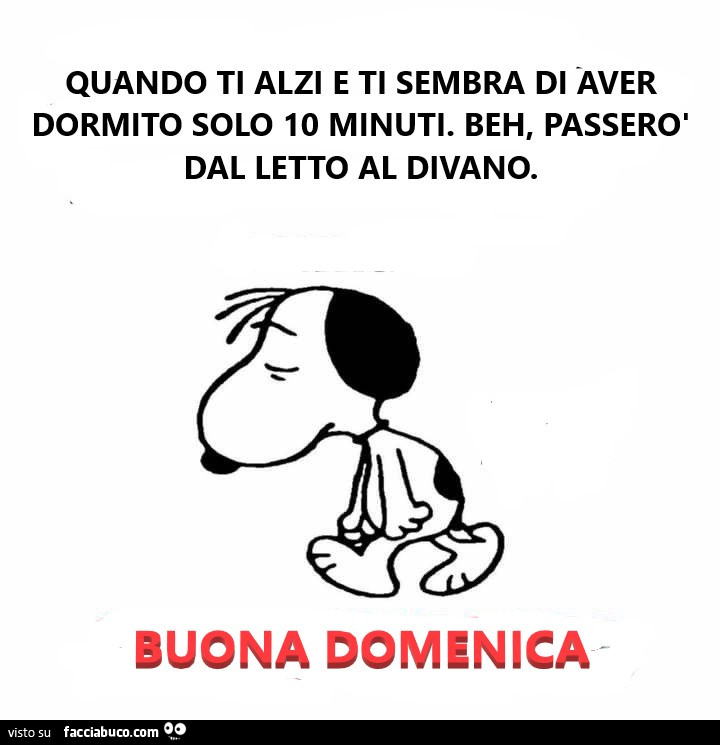 Quando ti alzi e ti sembra di aver dormito solo 10 minuti. Beh, passerò dal letto al divano. Buona Domenica