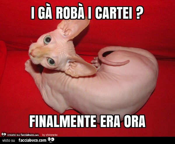 Vaccata
