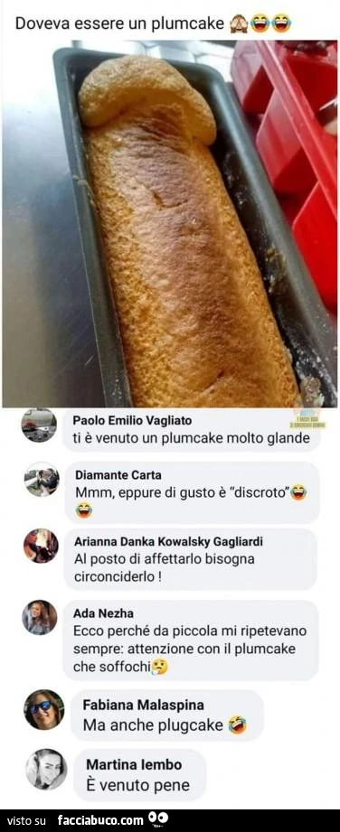 Vaccata