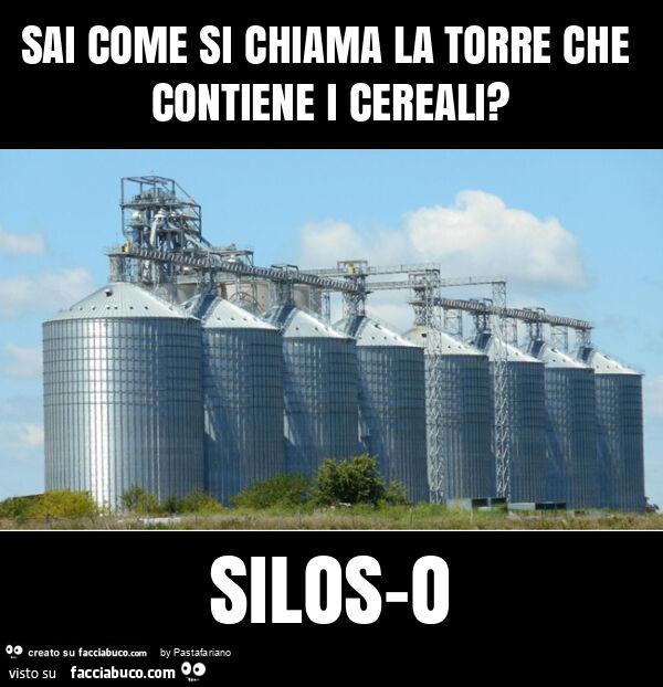 Sai come si chiama la torre che contiene i cereali? Silos-o